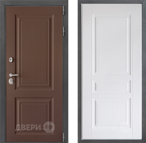 Входная металлическая Дверь Дверной континент ДК-3/729 ФЛ-243 Альберо Браш серебро в Наро-Фоминске