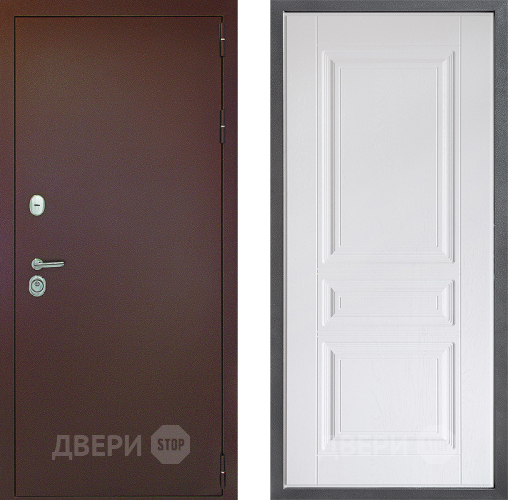 Входная металлическая Дверь Дверной континент Рубикон Медь Дизайн ФЛ-243 Альберо Браш серебро в Наро-Фоминске