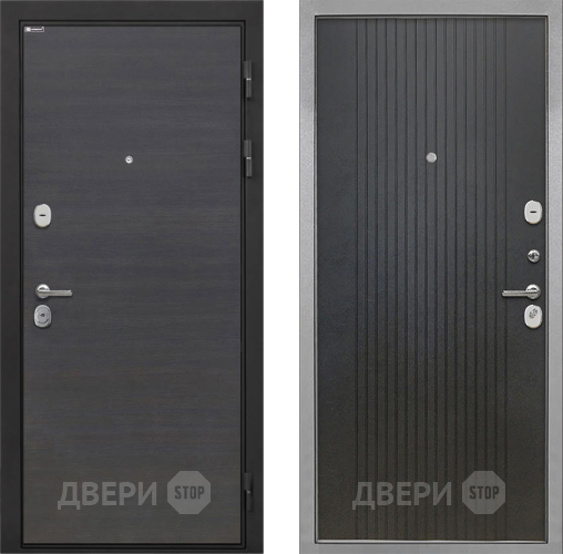 Дверь Интекрон (INTECRON) Гектор Эковенге ФЛ-295 Лофт черный в Наро-Фоминске